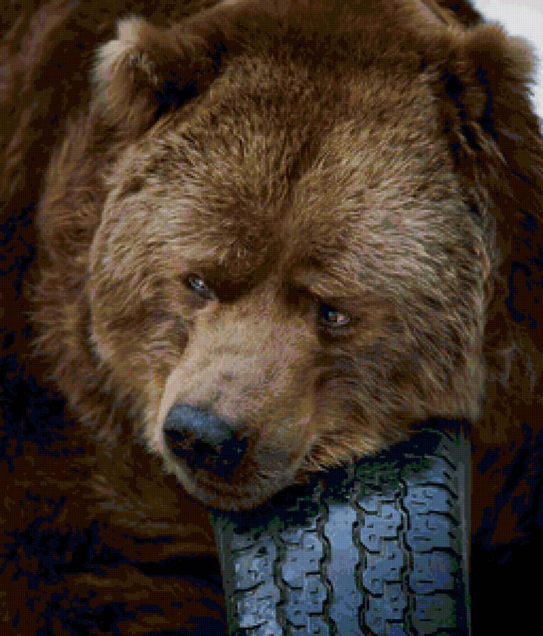 bear - предпросмотр