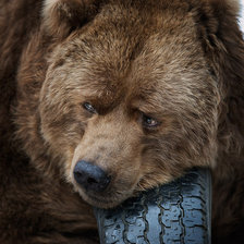 Схема вышивки «bear»