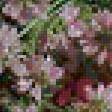 Предпросмотр схемы вышивки «flowers» (№148539)