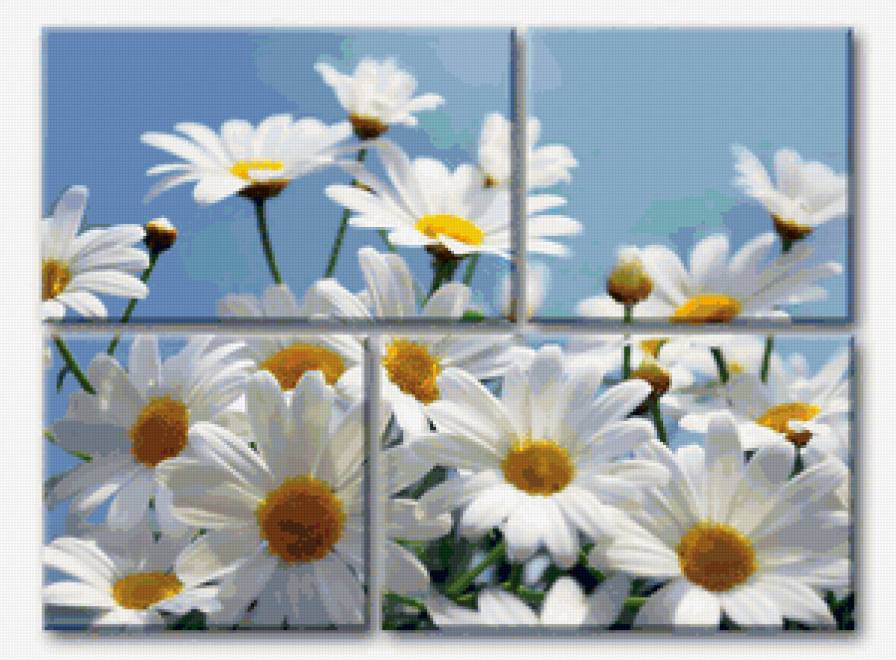 солнечные ромашки - модульная картина - предпросмотр