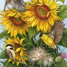 Схема вышивки «птицы на подсолнухах»