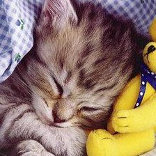 Схема вышивки «котенок»