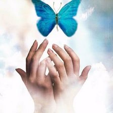 Схема вышивки «нежность»