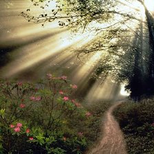 Схема вышивки «Лесной пейзаж»