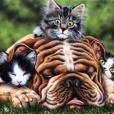 Вздремнул...