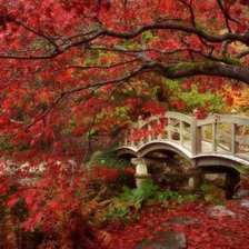 Схема вышивки «№149085»