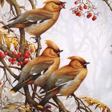 Схема вышивки «№149137»