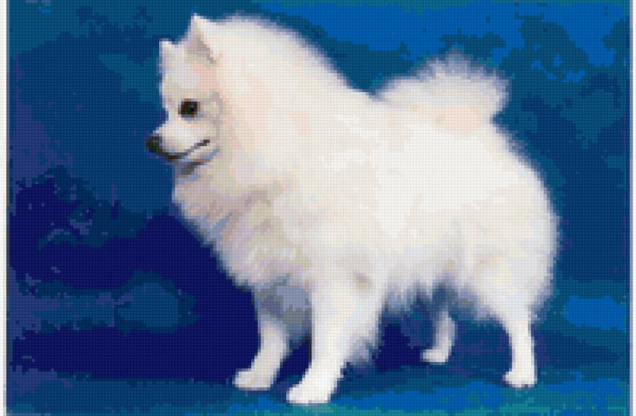 Собачка - собака - предпросмотр