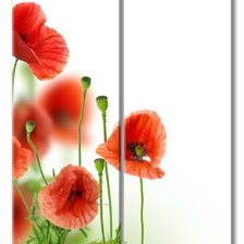 Схема вышивки «алые маки»