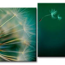 Схема вышивки «одуванчик»