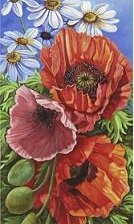 Схема вышивки «Маки»