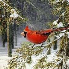 Схема вышивки «№149288»