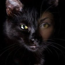 Схема вышивки «женщина-кошка»