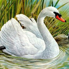 Схема вышивки «№149392»