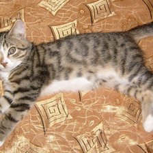 Схема вышивки «Васек»