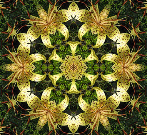 подушка орнамент - орнамент, подушка - оригинал