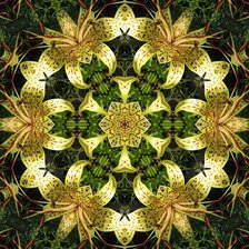 Схема вышивки «подушка орнамент»