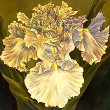 Схема вышивки «№149763»