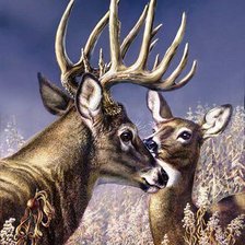 Схема вышивки «№149773»