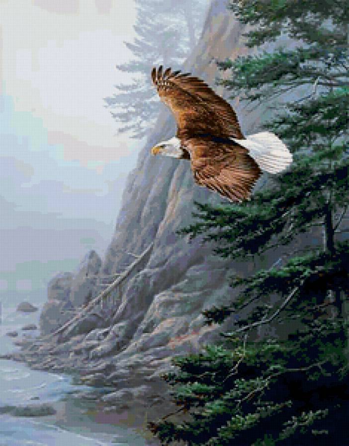 №149783 - предпросмотр