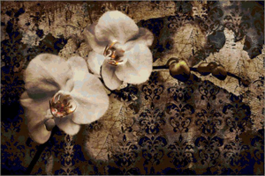 orchidee - blumen - предпросмотр