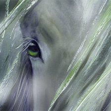 Схема вышивки «№149803»