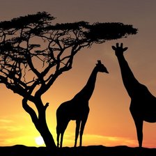 Схема вышивки «саванна»