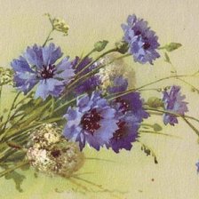 Схема вышивки «васильки»