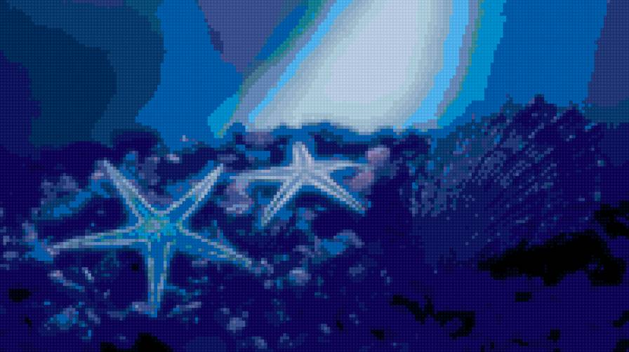 морские звезды - морская тема - предпросмотр