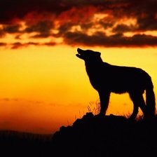 Схема вышивки «волк»