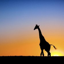 Схема вышивки «саванна»