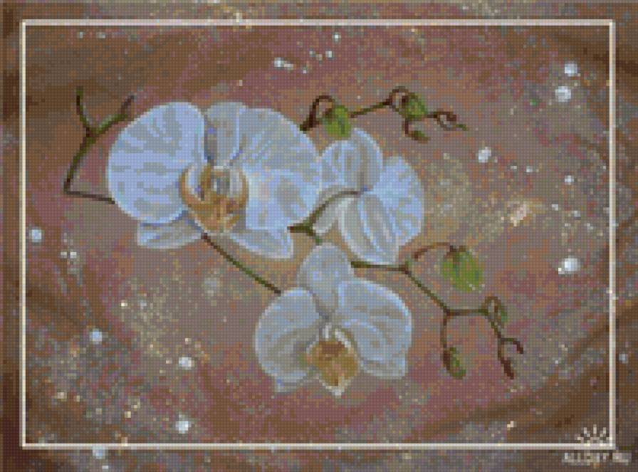 орхидея - цветы - предпросмотр