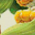 Предпросмотр схемы вышивки «Кукуруза» (№149977)
