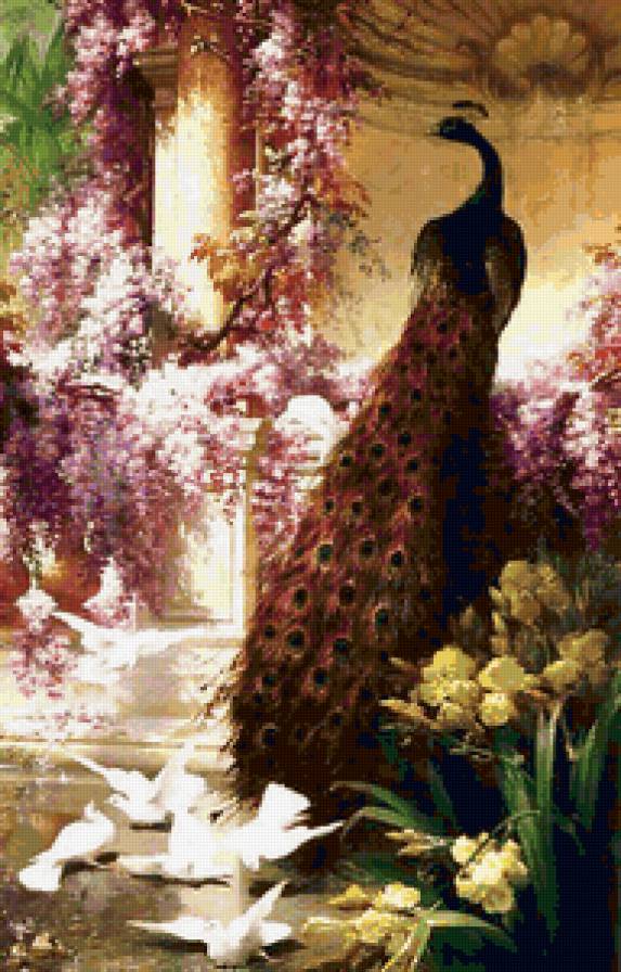 Павлин и голуби в саду - голуби, павлин, птицы, сад - предпросмотр