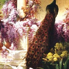 Схема вышивки «Павлин и голуби в саду»