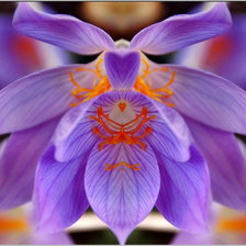 Схема вышивки «Орхидея»