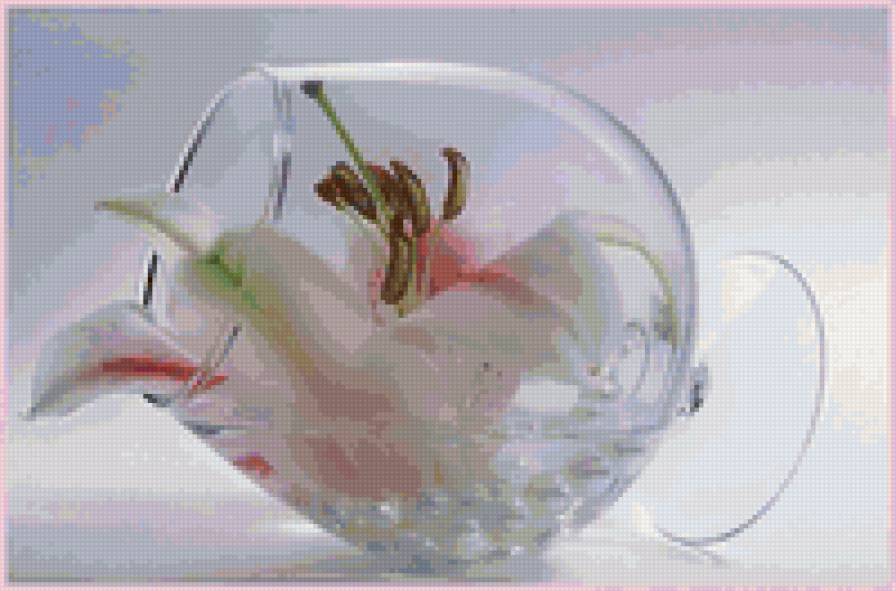 Лилия в бокале - лилия, цветы, бокал - предпросмотр