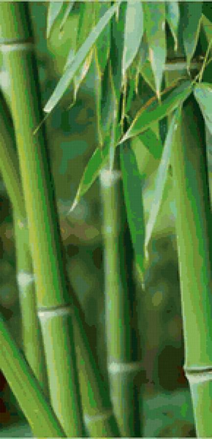 Стебли бамбука - бамбук, восток, панно - предпросмотр