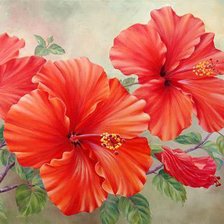 Схема вышивки «Цветы»