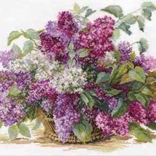 Схема вышивки «сирень»