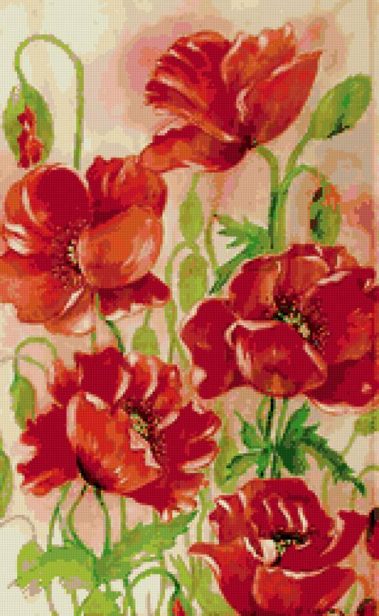 красные маки - предпросмотр