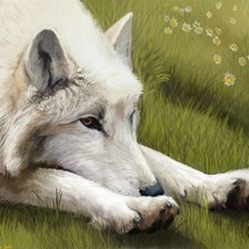 Схема вышивки «Волк»