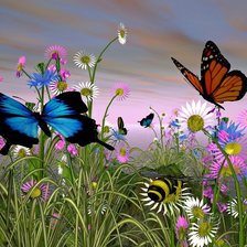 Схема вышивки «Бабочки»