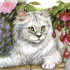 Схема вышивки «котик»