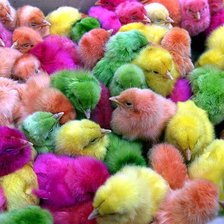 Схема вышивки «№150782»