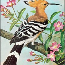 Схема вышивки «птичка»