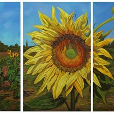 Схема вышивки «подсолнух»