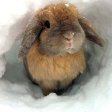 Схема вышивки «зайка»