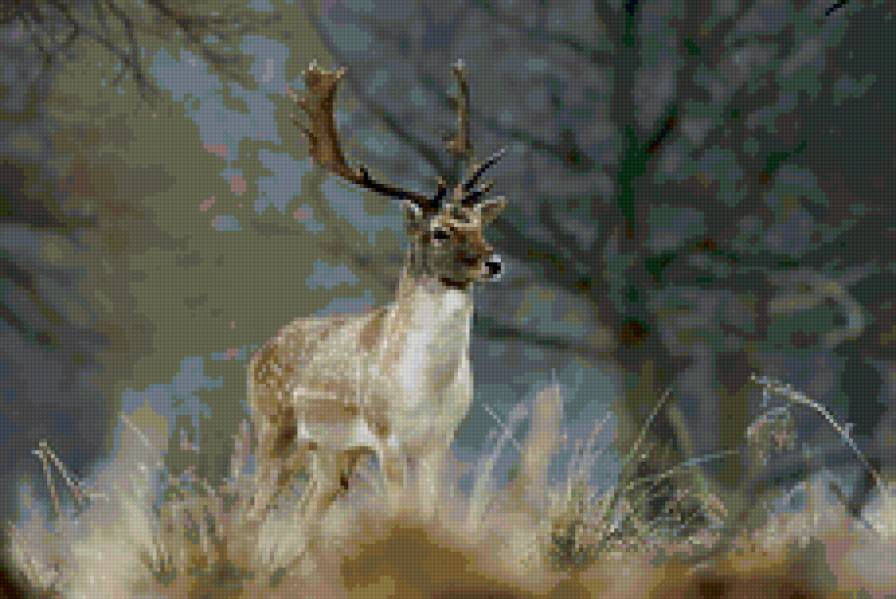 олень - животные, олень - предпросмотр