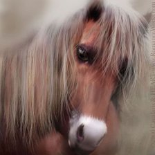 Схема вышивки «лошадка»